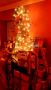 DSCN0513