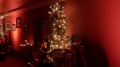 DSCN0515
