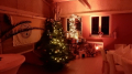 DSCN0528