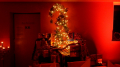 DSCN0533