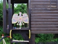 _1_image_1024_width6